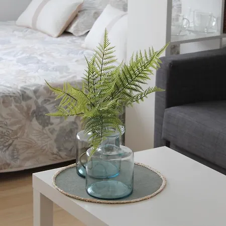 Paseo Maritimo Apartamento